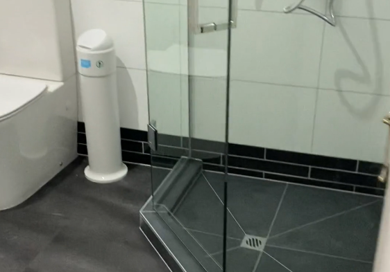 Angled shower and back-to-wall toilet in the renovated Ponsonby bathroom