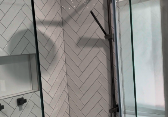 bathroom st johns Glass walk-in shower with rail shower and niche in a St Johns bathroom renovation