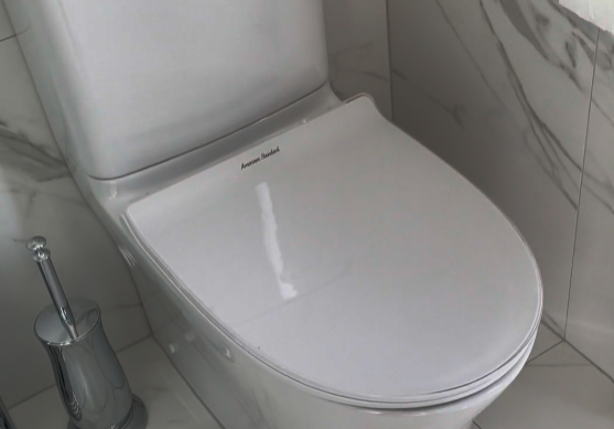 st heliers Back-to-wall toilet on marble-look porcelain tiles in a St Heliers bathroom