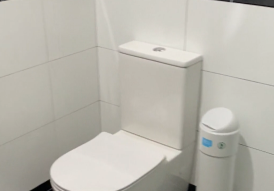 toilet seat Back-to-wall toilet with a black tile band in a Ponsonby toilet renovation